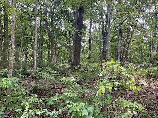 LT17 Old Mill Rd, Providence, NC 27315