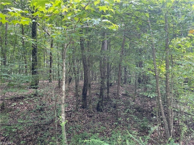 LT17 Old Mill Rd, Providence, NC 27315