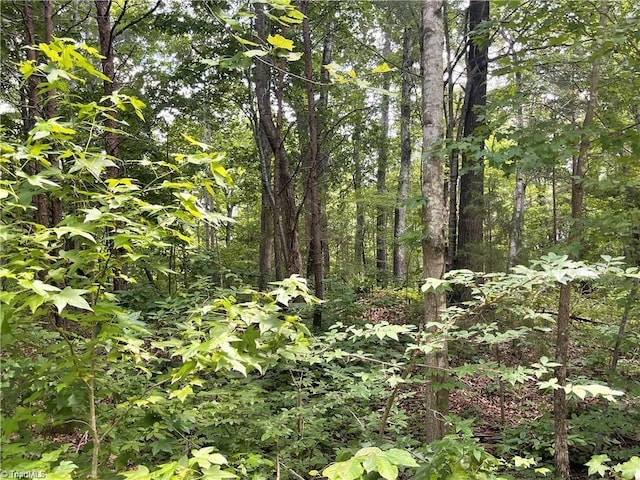 LT17 Old Mill Rd, Providence, NC 27315