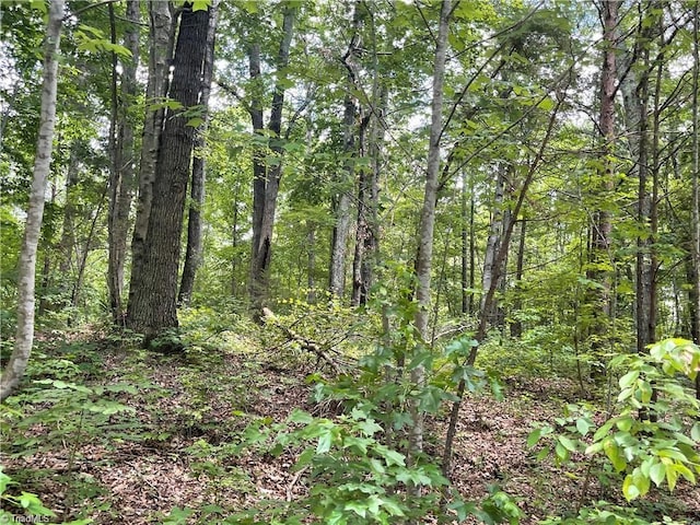 LT17 Old Mill Rd, Providence, NC 27315