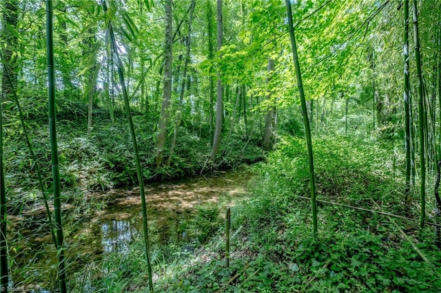 3230 Kinnamon Rd, Winston-Salem, NC 27104 - view of landscape