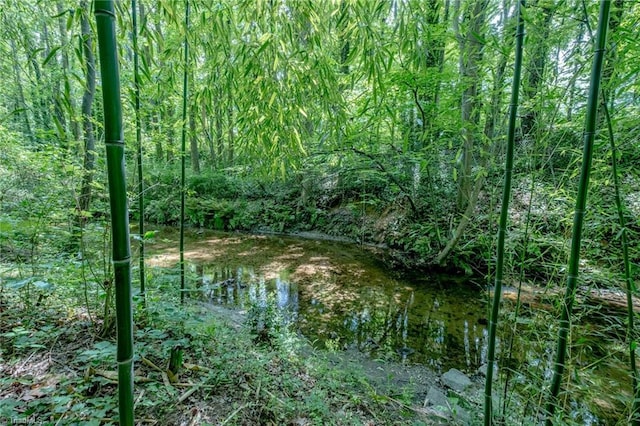 3230 Kinnamon Rd, Winston-Salem, NC 27104 - view of local wilderness