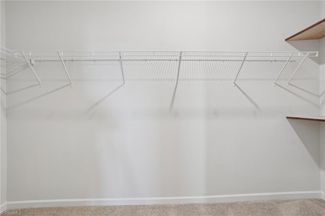 162 Bryson Blvd, Lexington, NC 27295 - walk in closet featuring carpet flooring