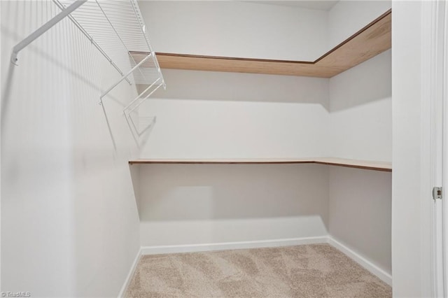 162 Bryson Blvd, Lexington, NC 27295 - walk in closet featuring carpet flooring