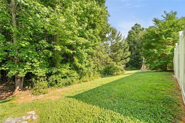 6051 Brookstone Ridge Dr, Winston-Salem, NC 27107 - view of green lawn