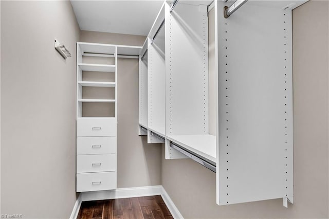 spacious closet featuring dark wood-style flooring