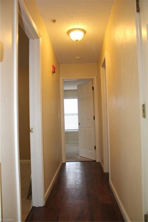 hallway with a textured ceiling and dark hardwood / wood-style floors