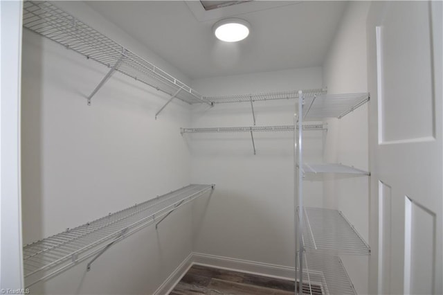 walk in closet featuring dark wood-style floors