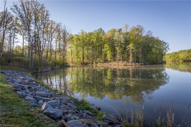 9652 Lissara Camp Ct, Lewisville, NC 27023