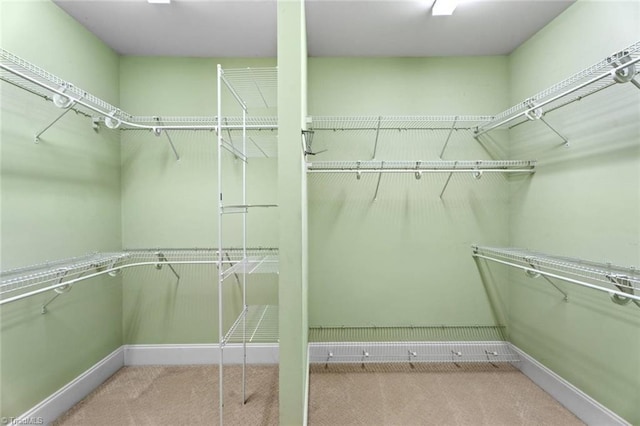 5080 Century Oaks Ln, Winston-Salem, NC 27106 - walk in closet with carpet floors
