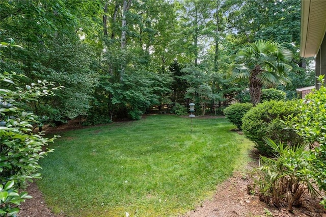 5080 Century Oaks Ln, Winston-Salem, NC 27106 - view of grassy yard