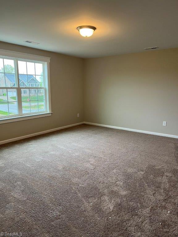 empty room featuring carpet flooring