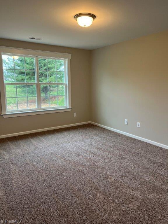 unfurnished room with carpet flooring