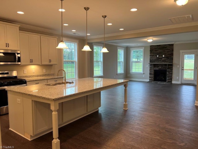 kitchen with stainless steel appliances, dark hardwood / wood-style floors, sink, and a kitchen island with sink