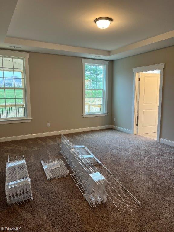 carpeted empty room featuring a tray ceiling