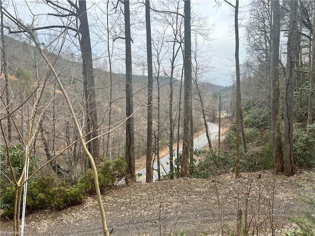 8253 N NC Highway 16, Millers Creek, NC 28651 - water view featuring a forest