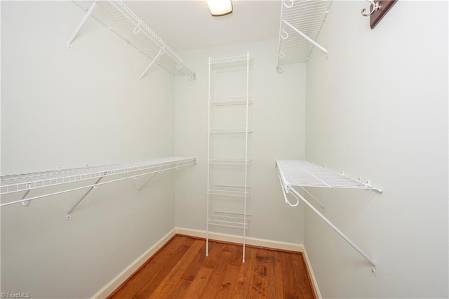 spacious closet featuring hardwood / wood-style flooring