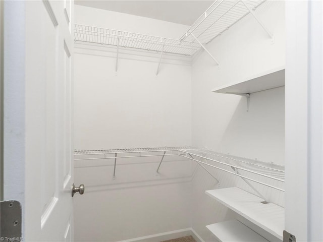 view of spacious closet