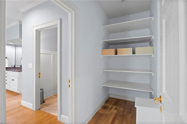 closet with a sink