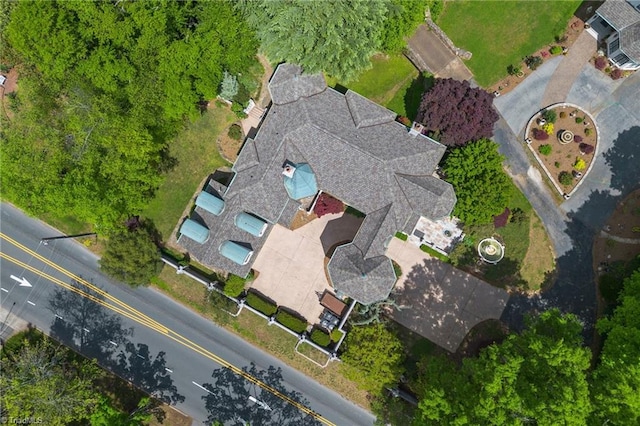 drone / aerial view