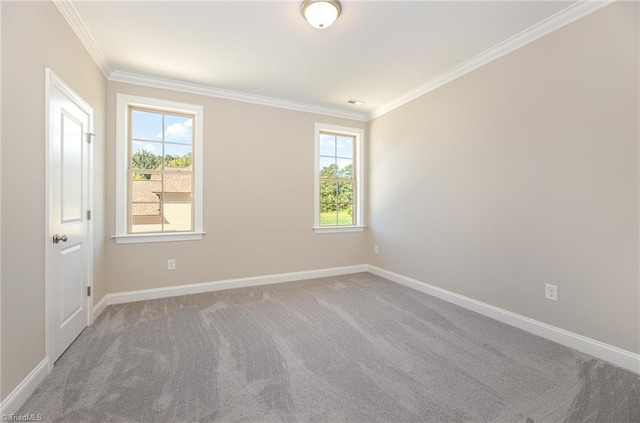 carpeted empty room featuring crown molding