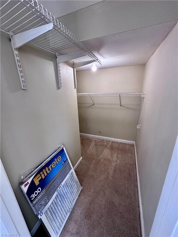 spacious closet with carpet