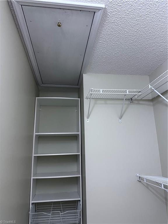 walk in closet with attic access