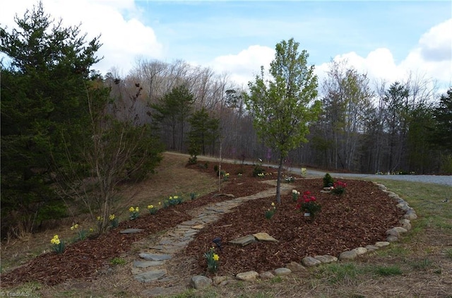 1564 Thore Rd, Pinnacle, NC 27043 - view of yard featuring a wooded view