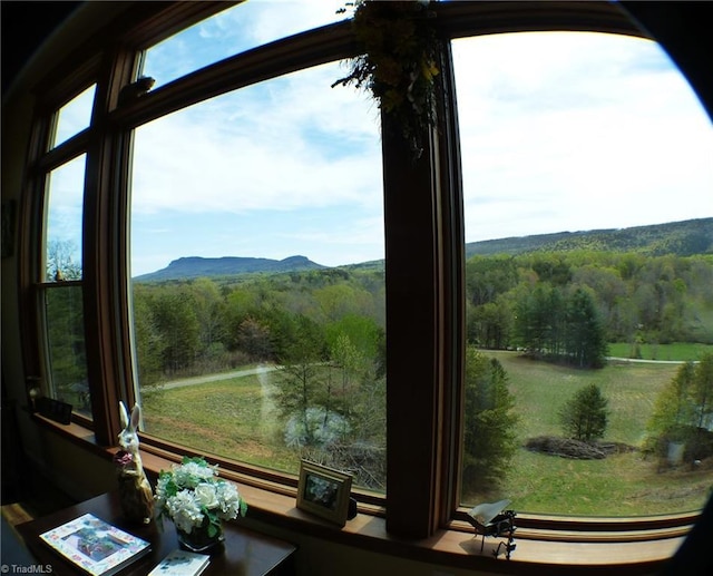 1564 Thore Rd, Pinnacle, NC 27043 - detailed view of mountains and a forest