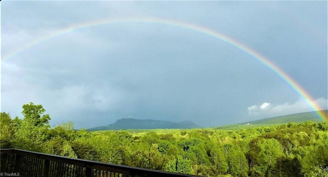 1564 Thore Rd, Pinnacle, NC 27043 - view of mountain background with a heavily wooded area