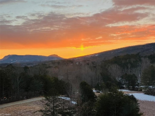 1564 Thore Rd, Pinnacle, NC 27043 - view of mountain background featuring a forest