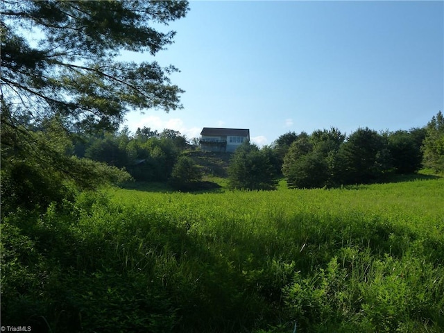 1564 Thore Rd, Pinnacle, NC 27043 - view of undeveloped land