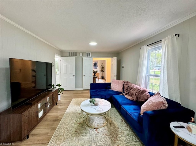 living room with crown molding, light hardwood / wood-style floors, and a textured ceiling