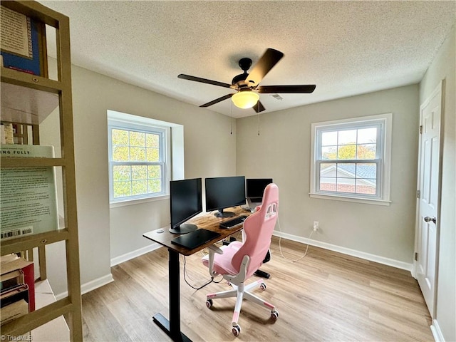 home office with a wealth of natural light, light hardwood / wood-style floors, and a textured ceiling