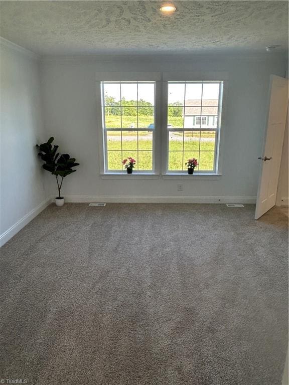 3700 Ireland Rd, Yadkinville, NC 27011 - carpeted spare room with ornamental molding, baseboards, and a textured ceiling