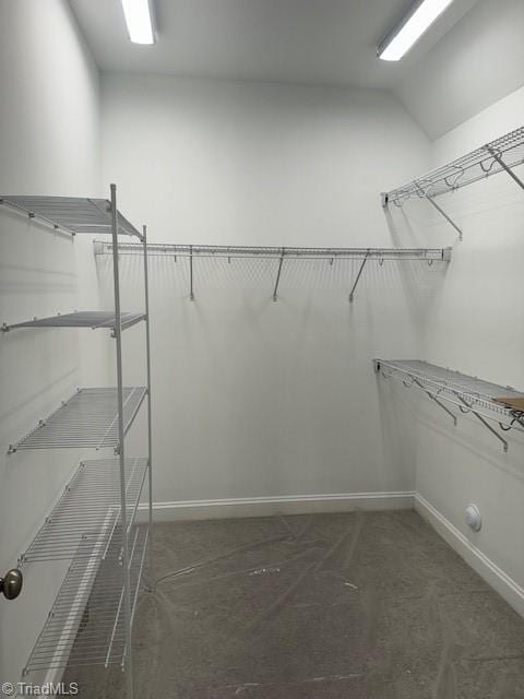 view of spacious closet