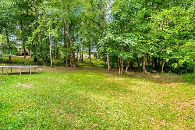 1126 E Springfield Rd, High Point, NC 27263 - view of green lawn with a trampoline