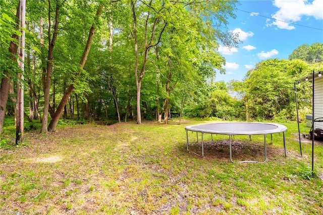 1126 E Springfield Rd, High Point, NC 27263 - view of green lawn featuring a trampoline