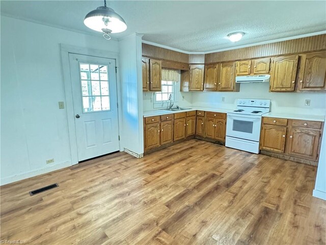 2121/2117 Swan Creek Rd, Jonesville, NC 28642 - kitchen featuring visible vents, exhaust hood, light wood-style floors, brown cabinets, and electric range