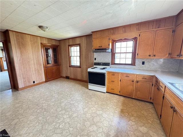 2121/2117 Swan Creek Rd, Jonesville, NC 28642 - kitchen featuring light countertops, a wealth of natural light, electric stove, under cabinet range hood, and wooden walls