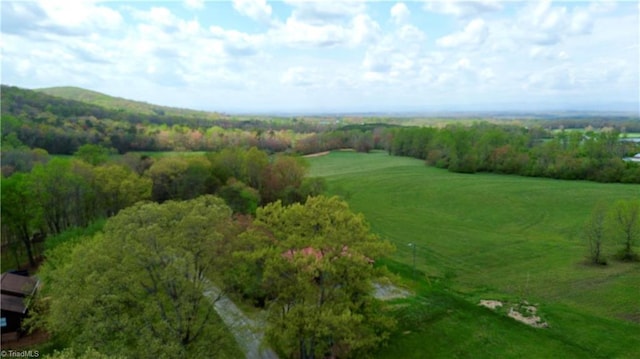 2121/2117 Swan Creek Rd, Jonesville, NC 28642 - birds eye view of property
