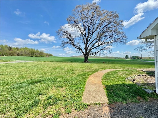 2121/2117 Swan Creek Rd, Jonesville, NC 28642 - view of yard