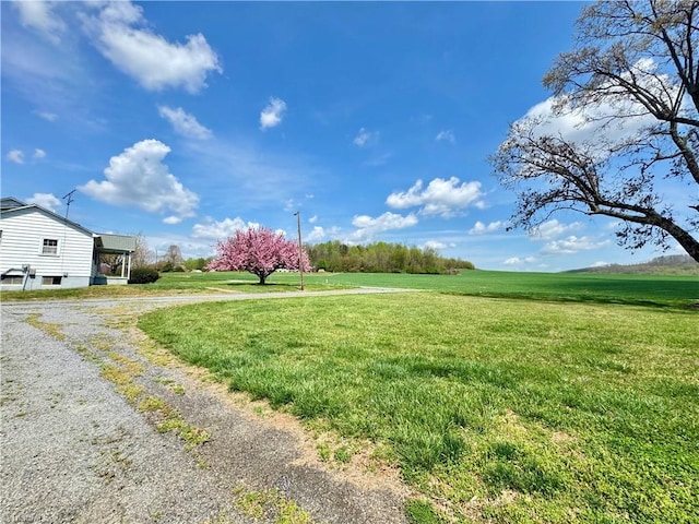 2121/2117 Swan Creek Rd, Jonesville, NC 28642 - view of yard featuring gravel driveway