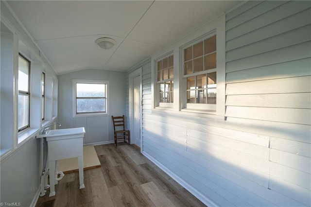 interior space with wooden walls and dark hardwood / wood-style floors