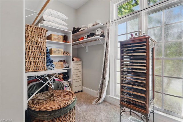6204 Calendula Ct, Summerfield, NC 27358 - spacious closet with carpet floors