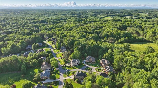 6204 Calendula Ct, Summerfield, NC 27358 - aerial view of property's location with a forest
