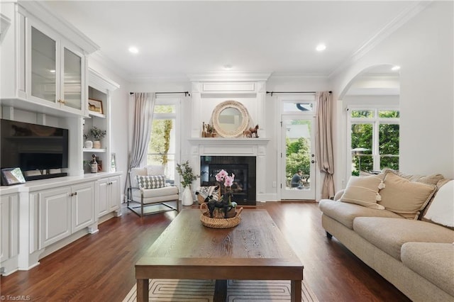 6204 Calendula Ct, Summerfield, NC 27358 - living area with a fireplace with flush hearth, dark wood-style floors, healthy amount of natural light, crown molding, and arched walkways