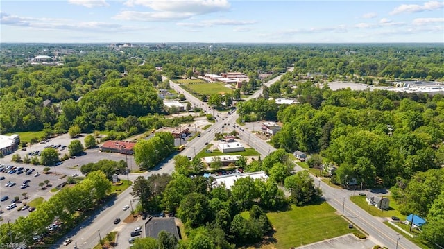 bird's eye view