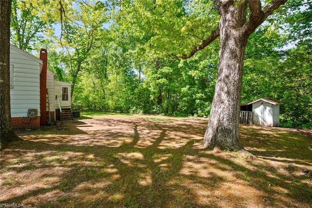 view of yard with a storage shed