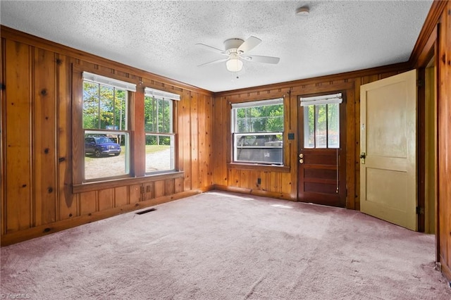 carpeted empty room featuring a wealth of natural light and wooden walls